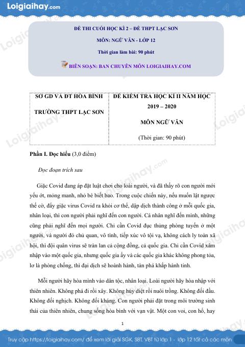 Giải đề thi kì 2 Ngữ văn lớp 12 năm 2019 - 2020 trường THPT Lạc Sơn